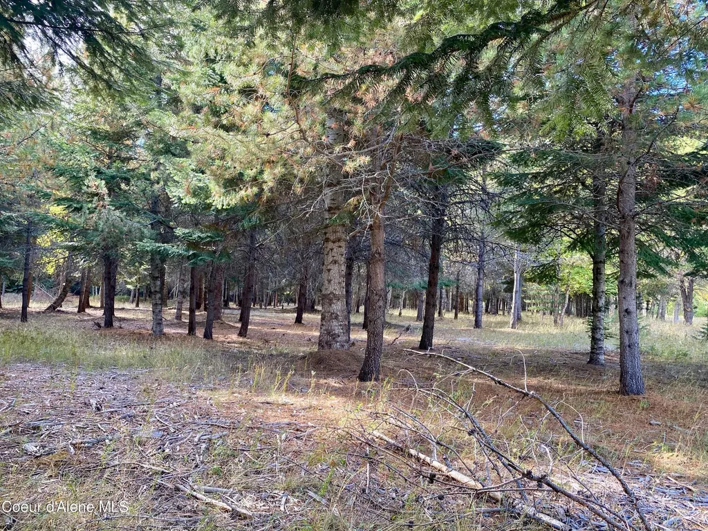 Nna Cougar Road Lot 1a Naples ID 83847