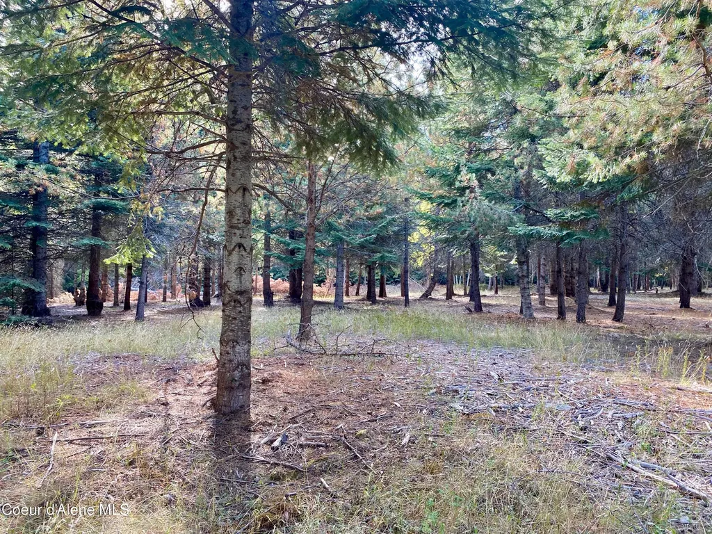Nna Cougar Road Lot 1a Naples ID 83847