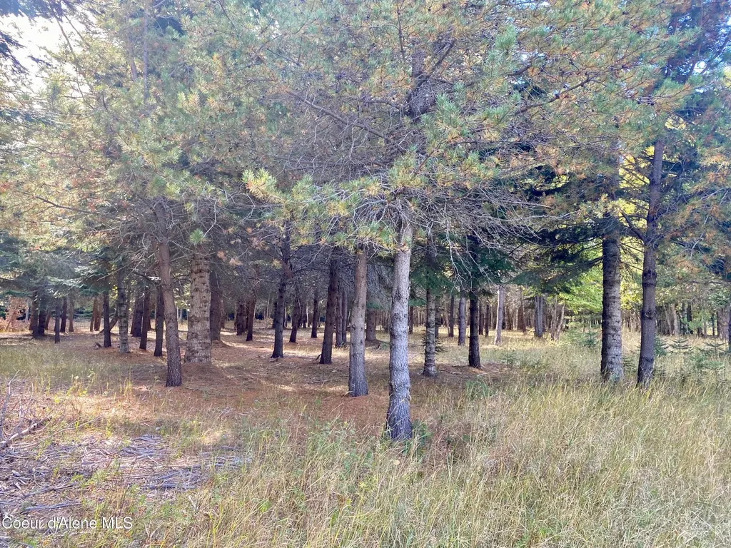 Nna Cougar Road Lot 1a Naples ID 83847
