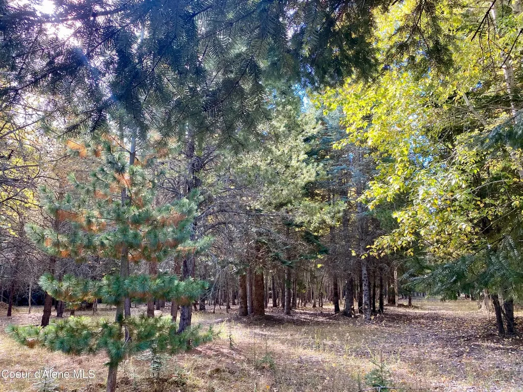 Nna Cougar Road Lot 1a Naples ID 83847
