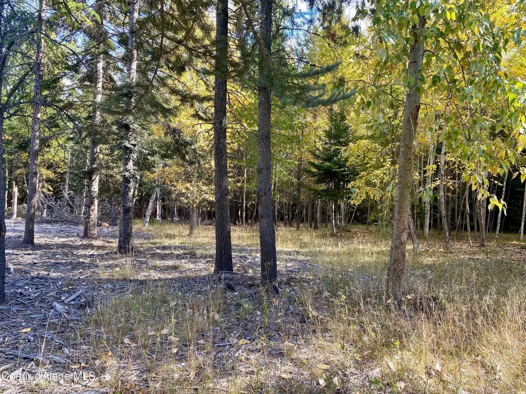 Nna Cougar Road Lot 1a Naples ID 83847
