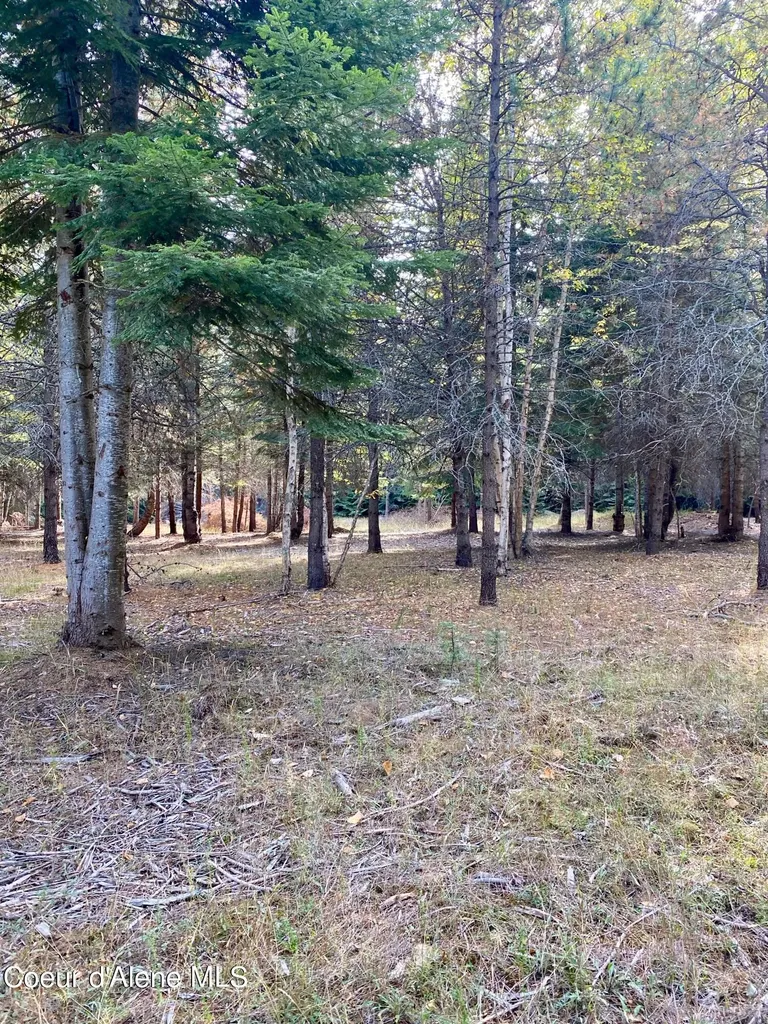 Nna Cougar Road Lot 1a Naples ID 83847