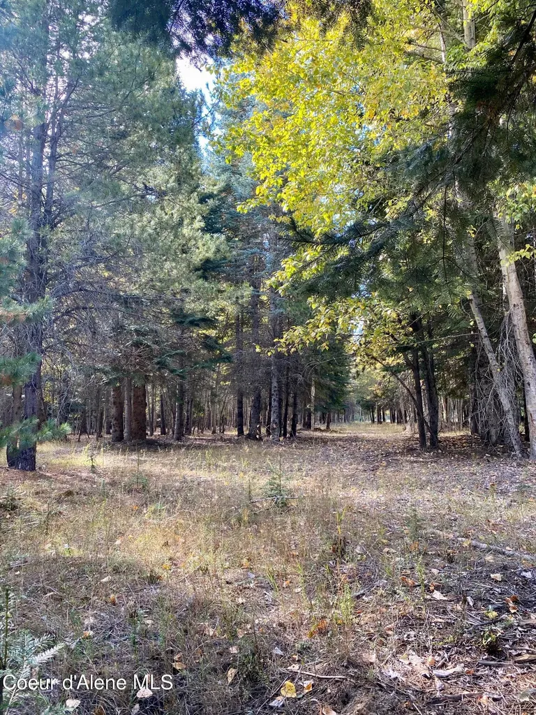 Nna Cougar Road Lot 1a Naples ID 83847