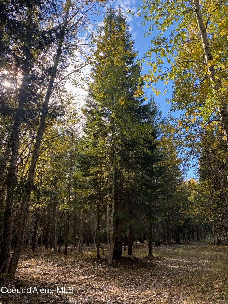 Nna Cougar Road Lot 1a Naples ID 83847