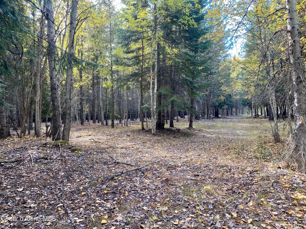 Nna Cougar Road Lot 1a Naples ID 83847