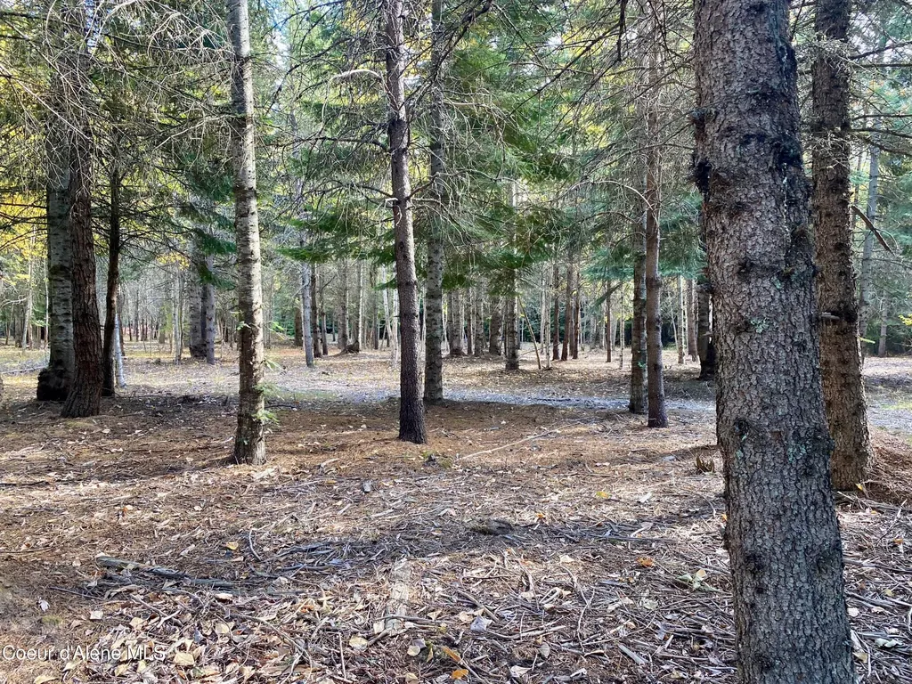 Nna Cougar Road Lot 1a Naples ID 83847