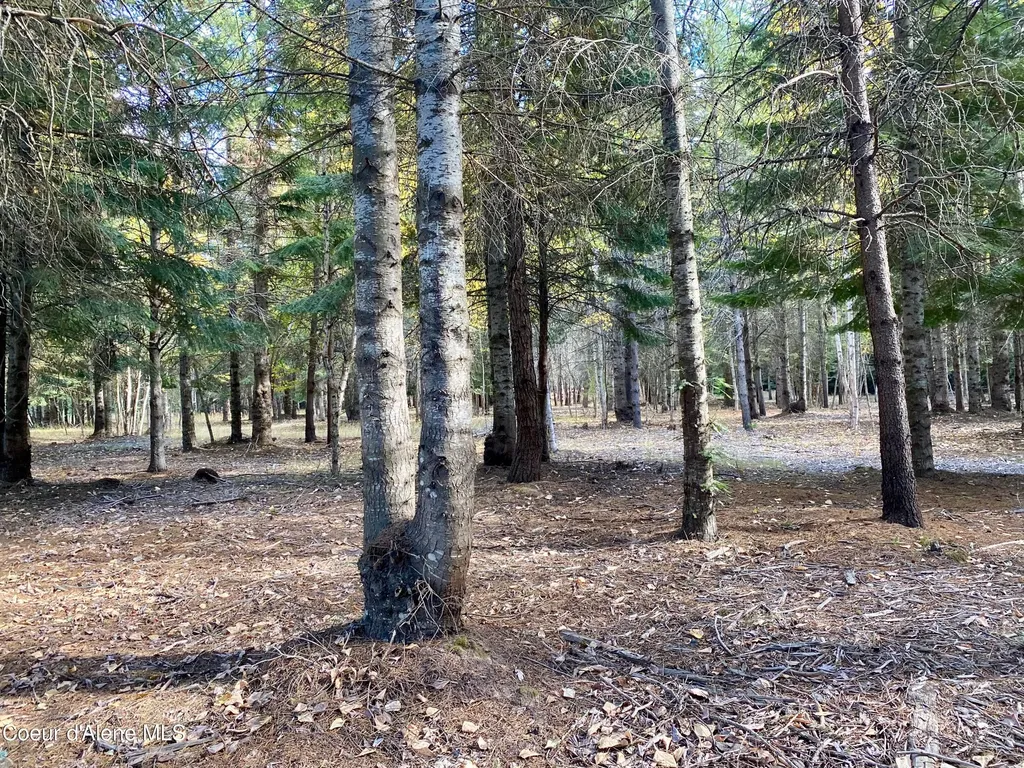 Nna Cougar Road Lot 1a Naples ID 83847
