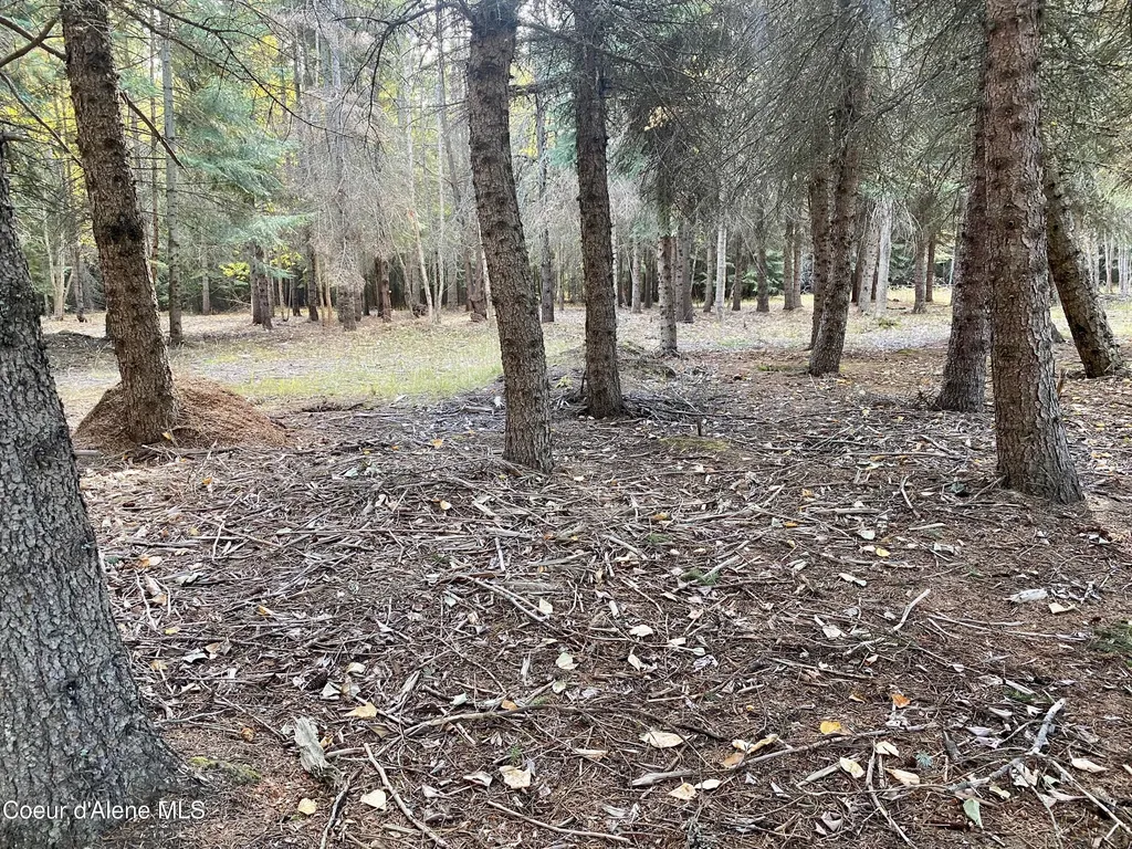 Nna Cougar Road Lot 1a Naples ID 83847