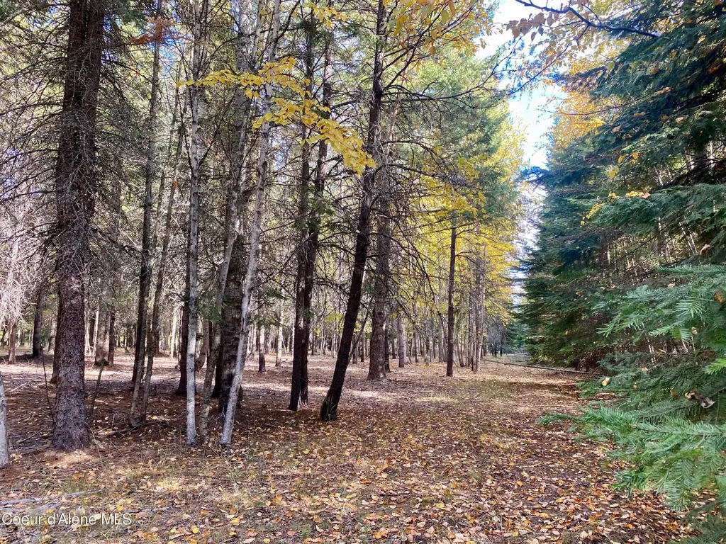 Nna Cougar Road Lot 1a Naples ID 83847