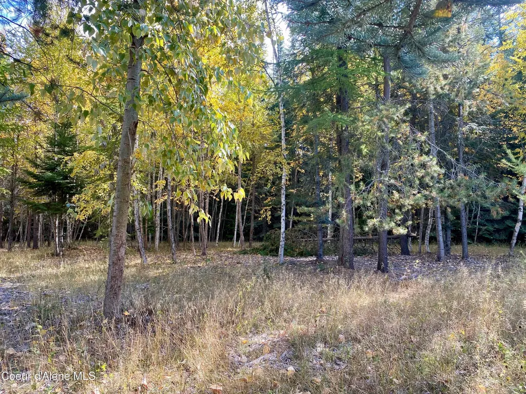Nna Cougar Road Lot 1a Naples ID 83847