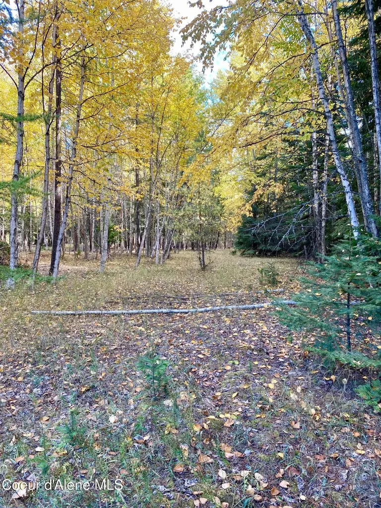 Nna Cougar Road Lot 1a Naples ID 83847