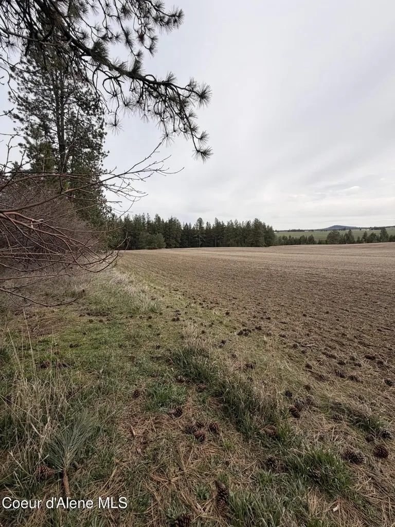 Tbd Sandhill Road Winchester ID 83555