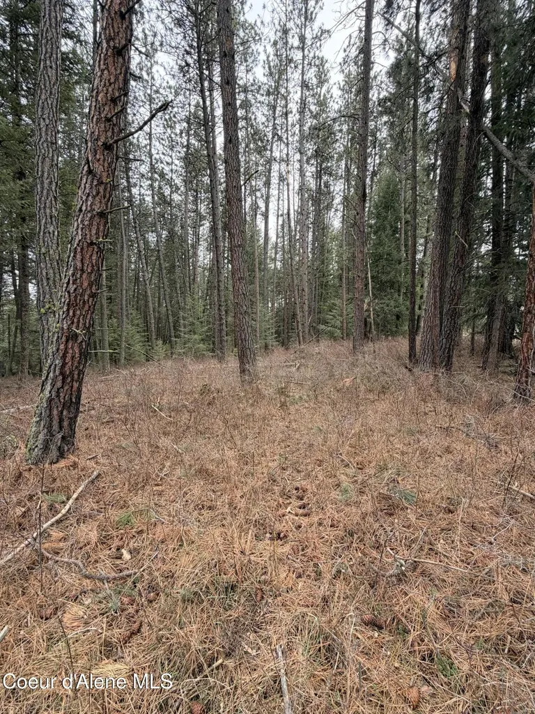 Tbd Sandhill Road Winchester ID 83555