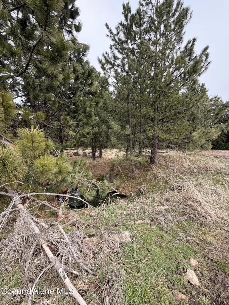 Tbd Sandhill Road Winchester ID 83555