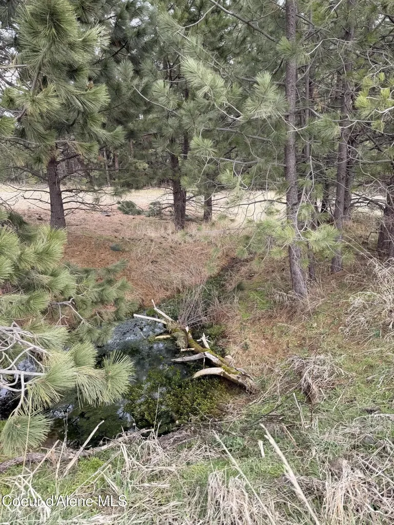 Tbd Sandhill Road Winchester ID 83555