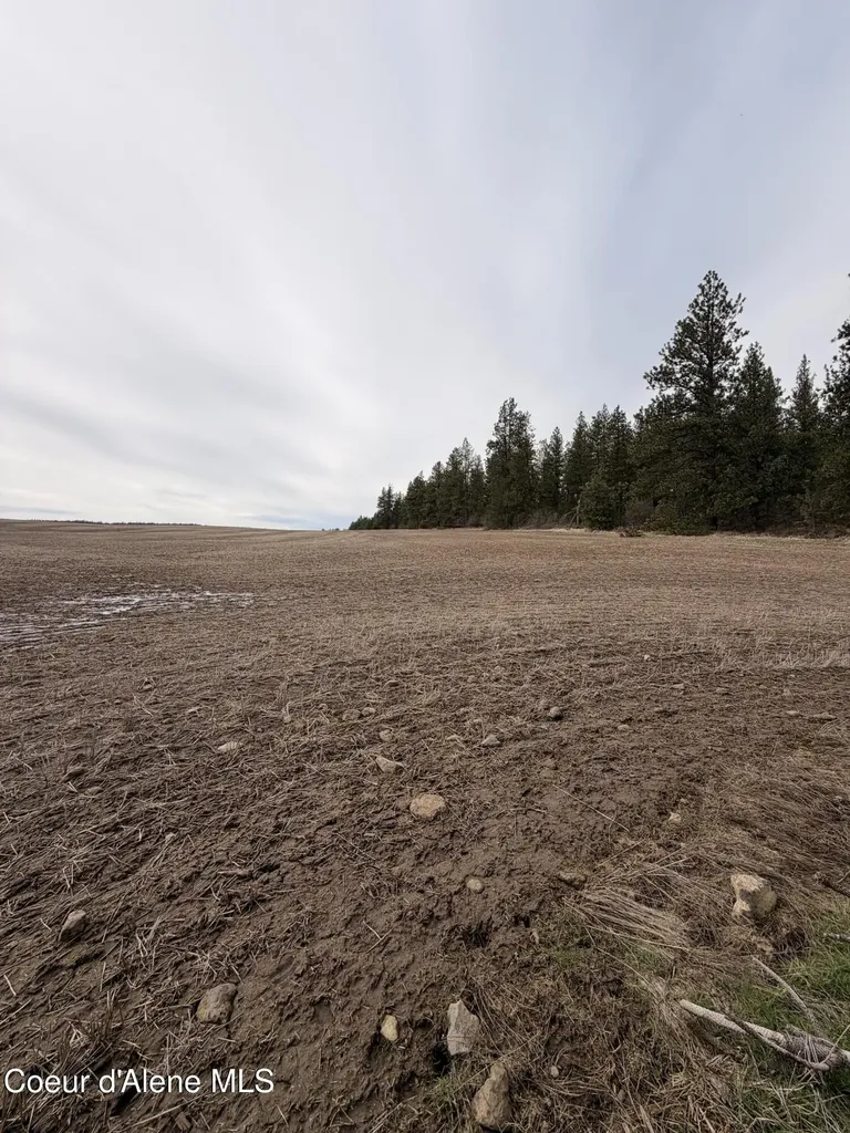 Tbd Sandhill Road Winchester ID 83555