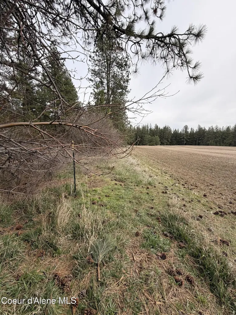 Tbd Sandhill Road Winchester ID 83555