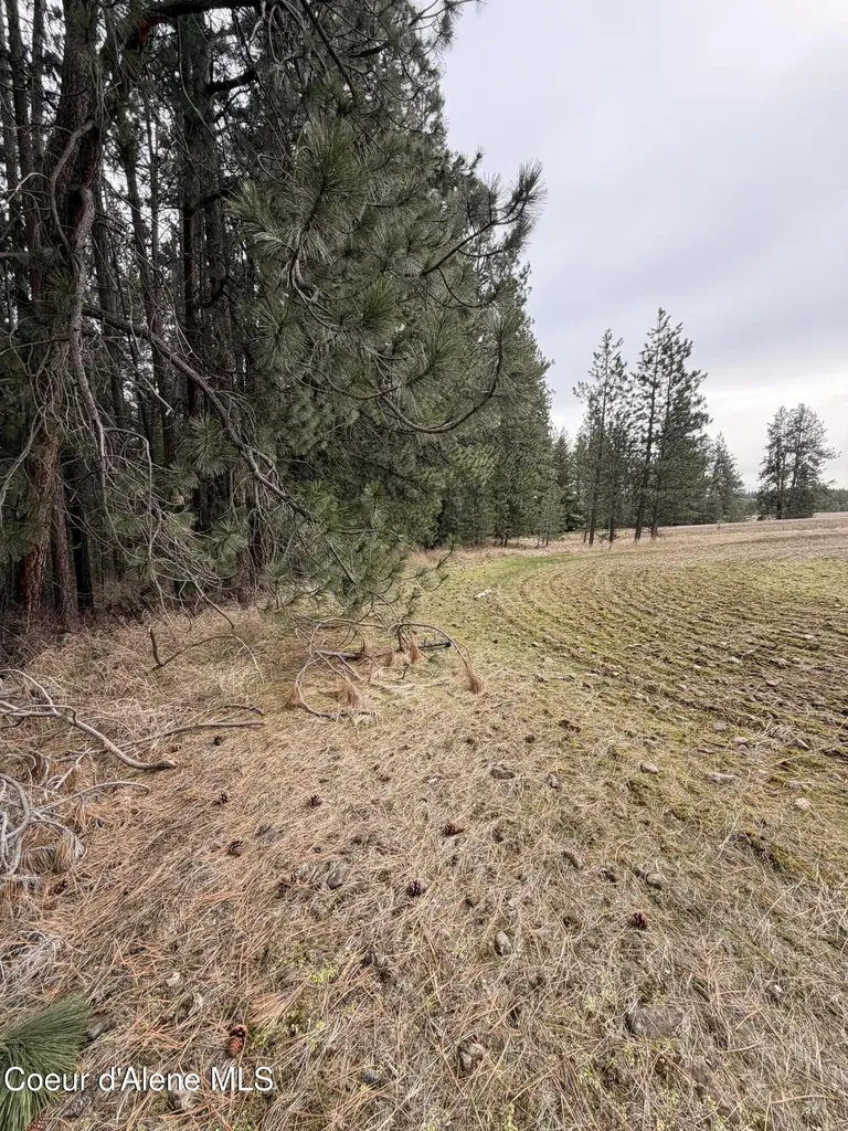 Tbd Sandhill Road Winchester ID 83555