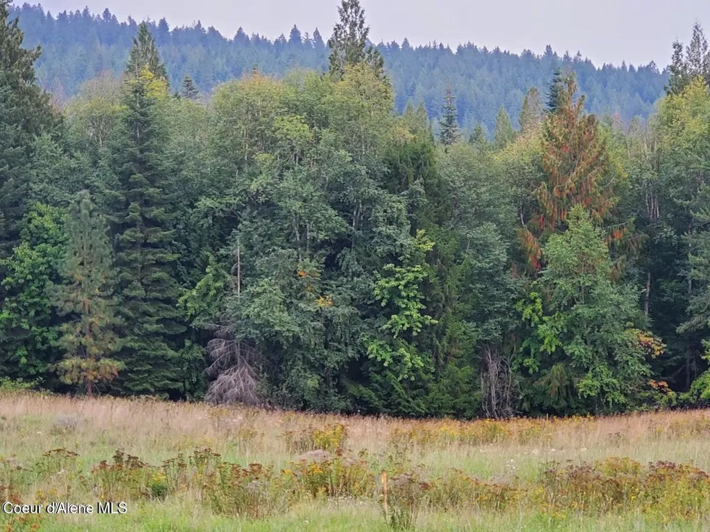 Nna Monarch Place Bonners Ferry ID 83805