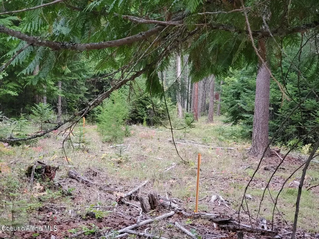 Nna Monarch Place Bonners Ferry ID 83805