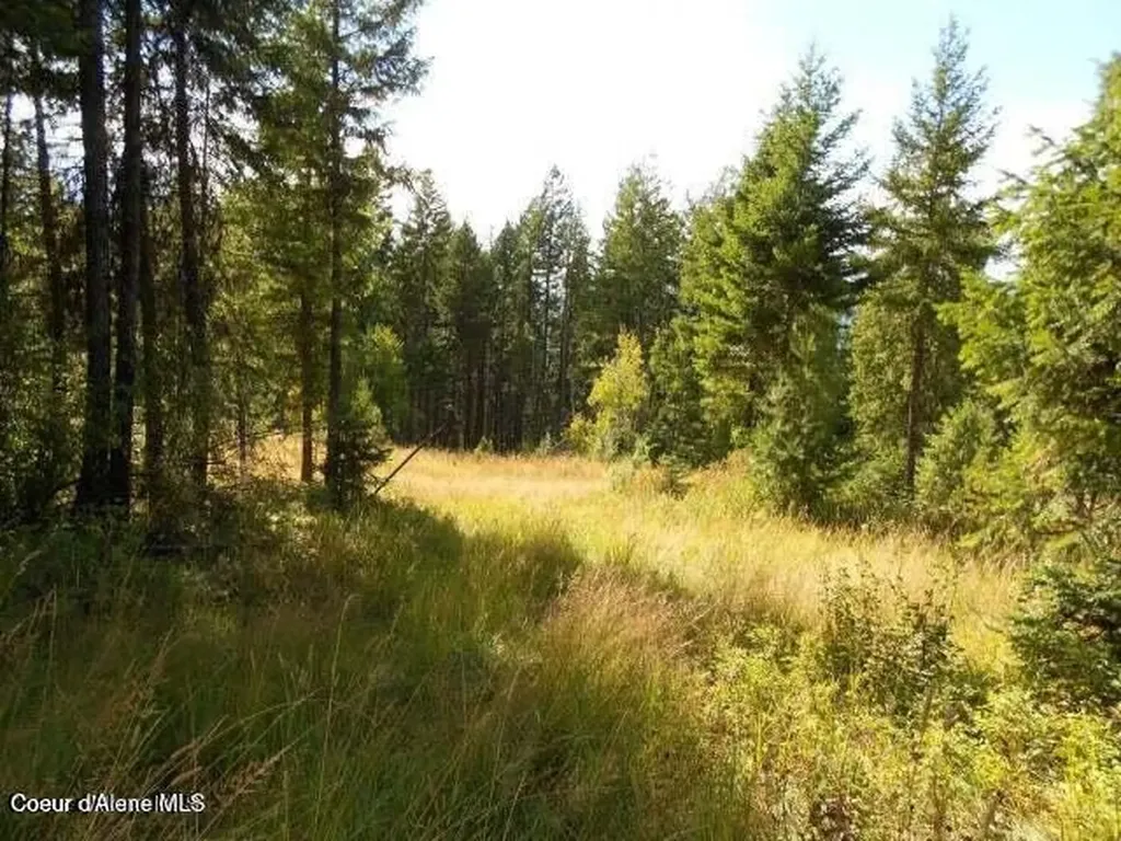 Nna Monarch Place Bonners Ferry ID 83805