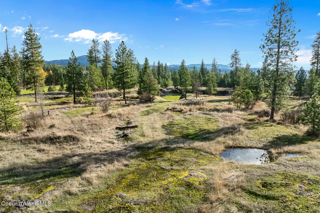 48 Jackleg Trail Harrison ID 83833
