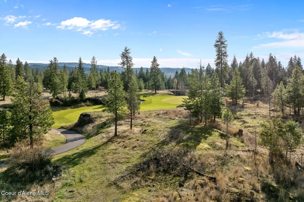 48 Jackleg Trail Harrison ID 83833