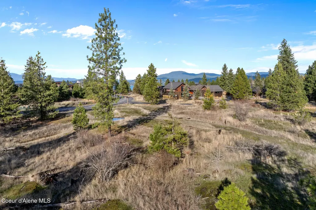 48 Jackleg Trail Harrison ID 83833