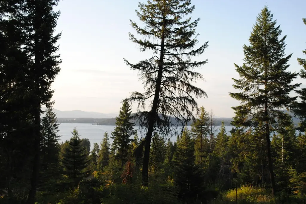 Lot 24 Harrow Road Harrison ID 83833
