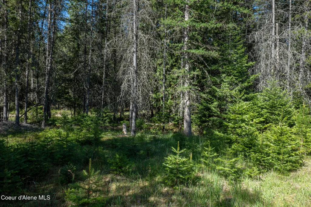 1201 Robinson Drive Priest River ID 83856