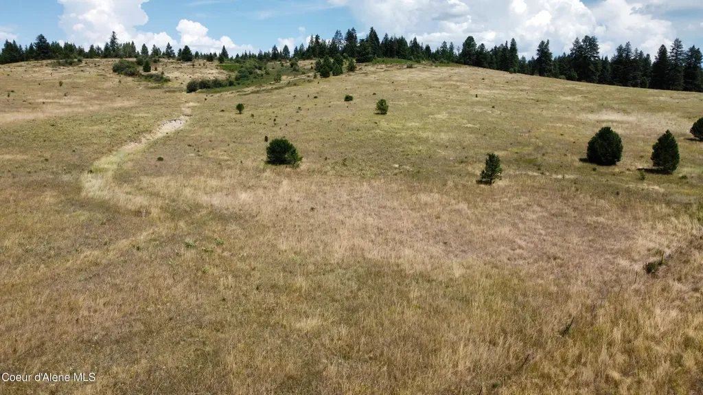 Nka E Coon Creek St. Maries ID 83861
