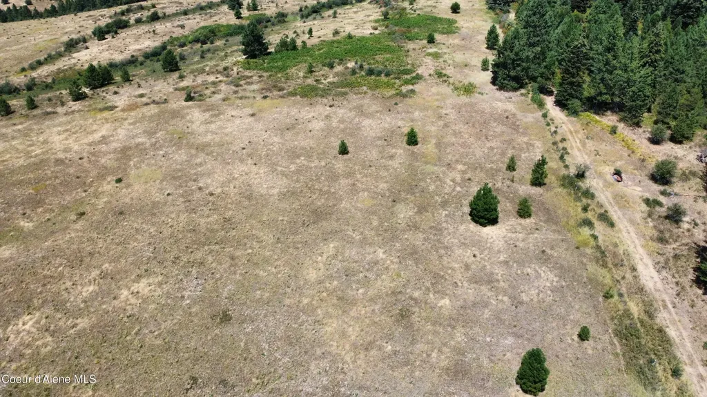 Nka E Coon Creek St. Maries ID 83861