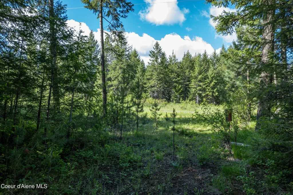 Nka Lot 3 Flat Iron Spirit Lake ID 83869