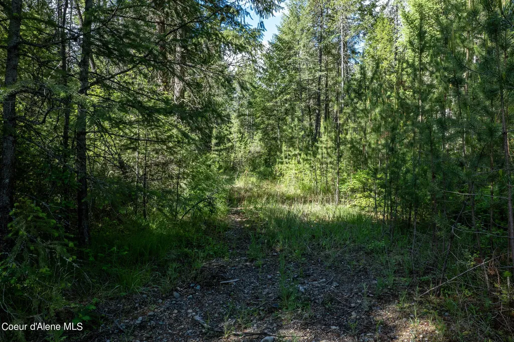 Nka Lot 3 Flat Iron Spirit Lake ID 83869