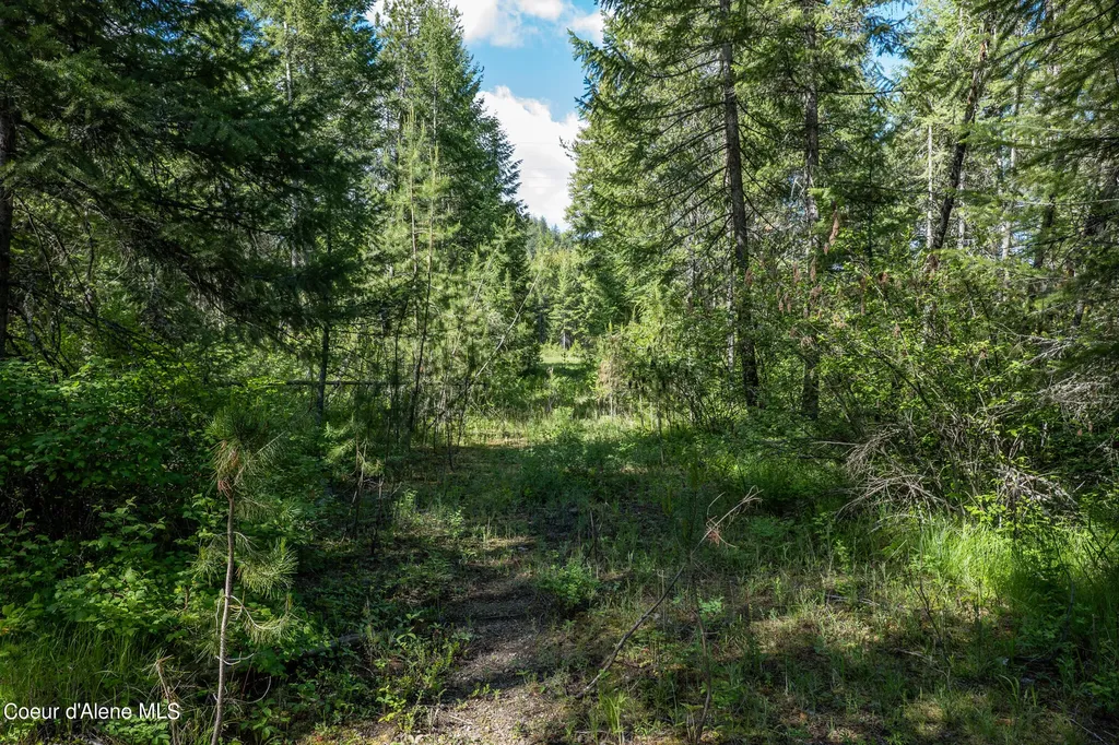 Nka Lot 3 Flat Iron Spirit Lake ID 83869