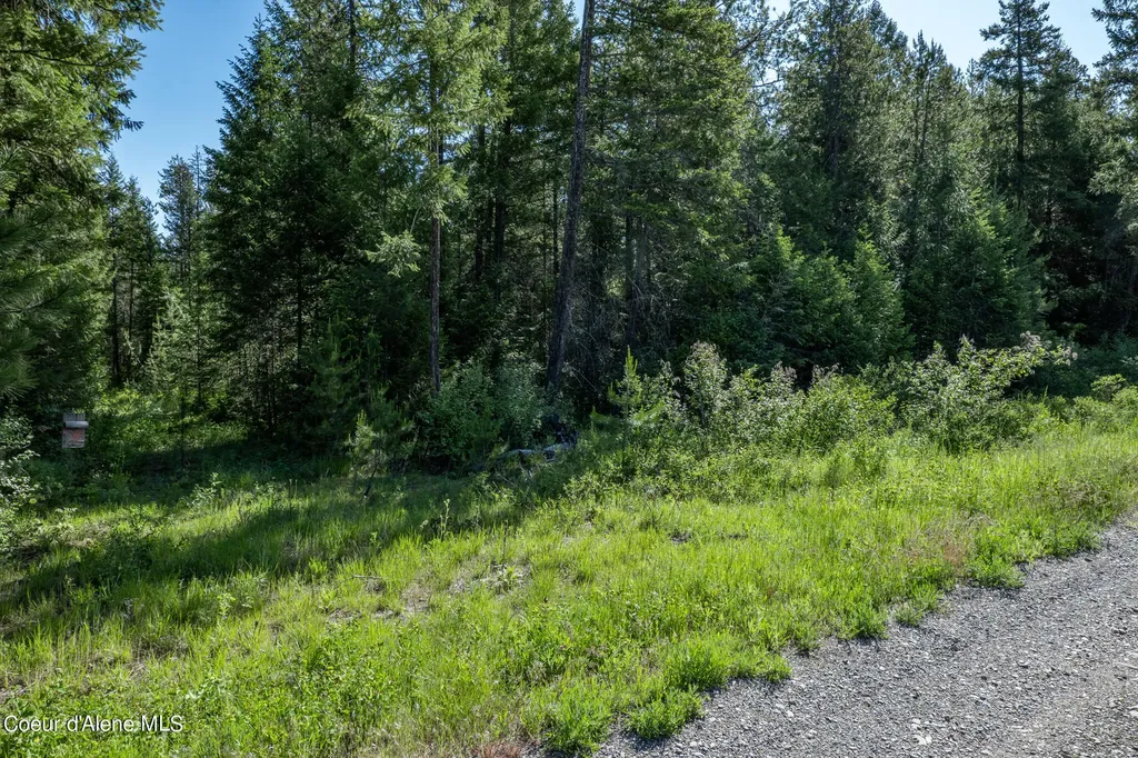 Nka Lot 3 Flat Iron Spirit Lake ID 83869