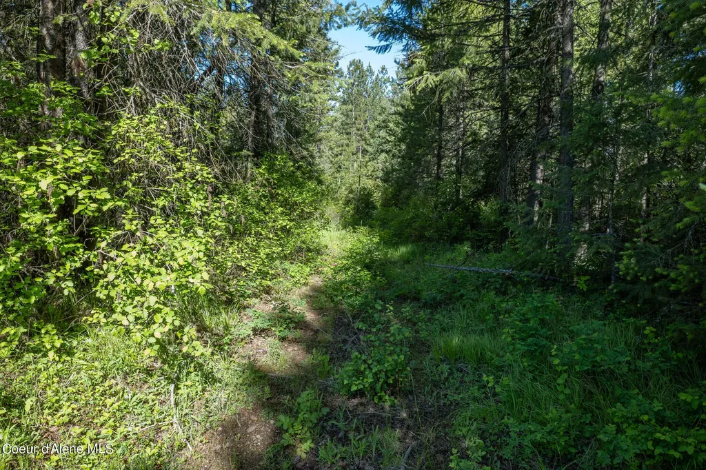 Nka Lot 3 Flat Iron Spirit Lake ID 83869
