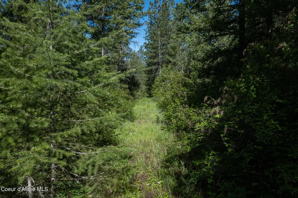 Nka Lot 3 Flat Iron Spirit Lake ID 83869