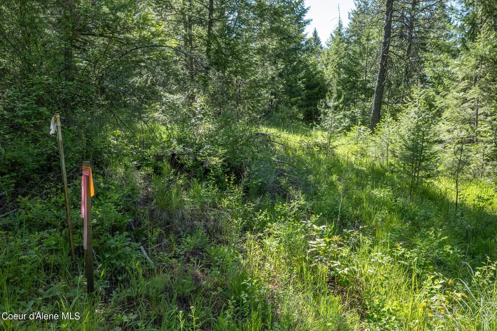 Nka Lot 3 Flat Iron Spirit Lake ID 83869