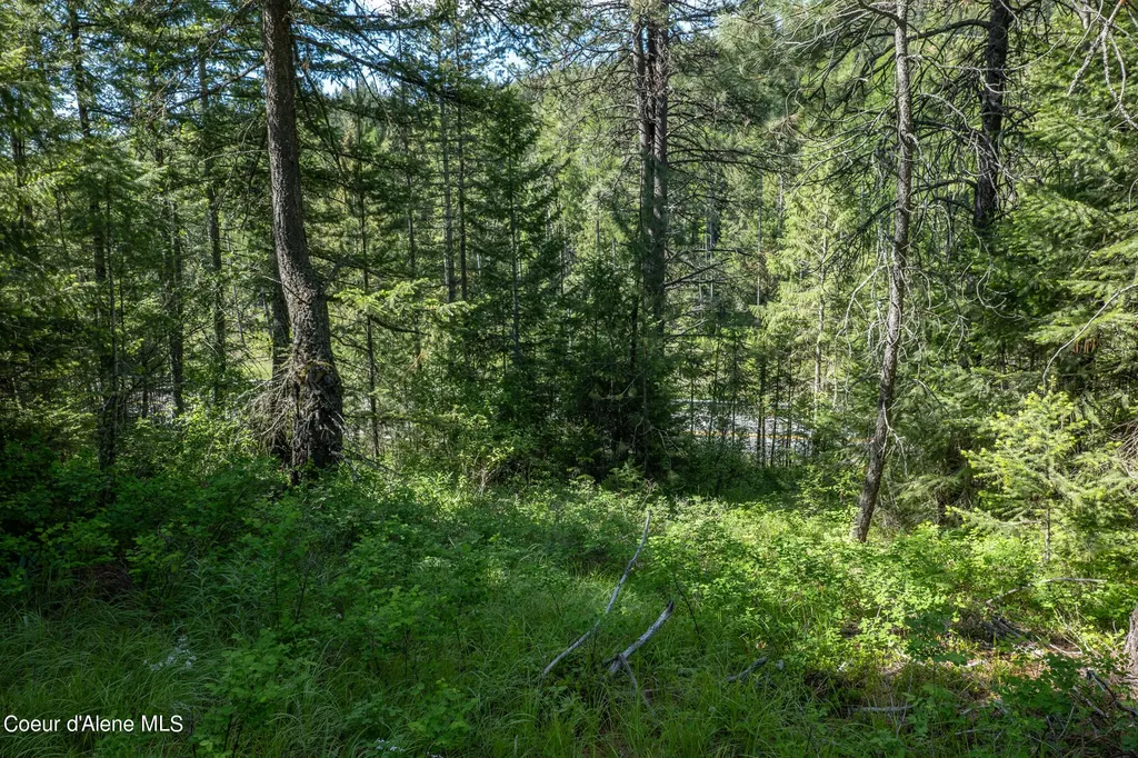 Nka Lot 3 Flat Iron Spirit Lake ID 83869