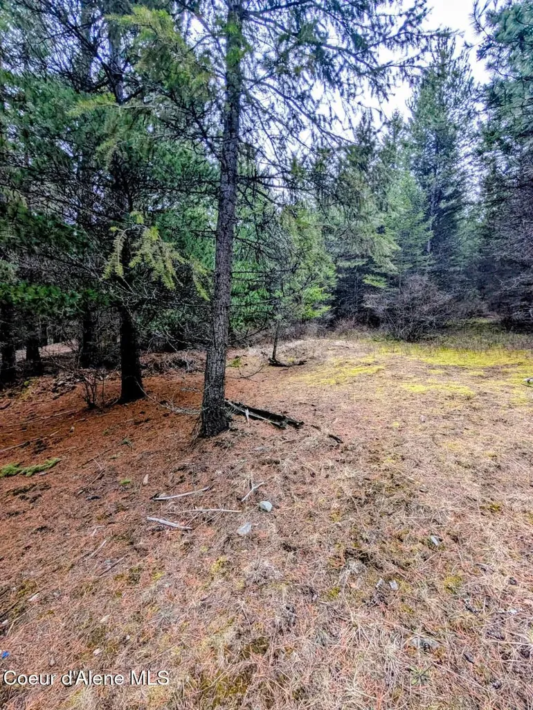 Nna Kootenai Trail Road Bonners Ferry ID 83805