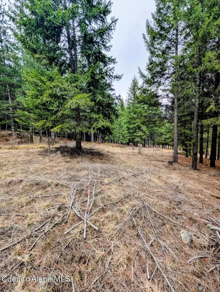 Nna Kootenai Trail Road Bonners Ferry ID 83805
