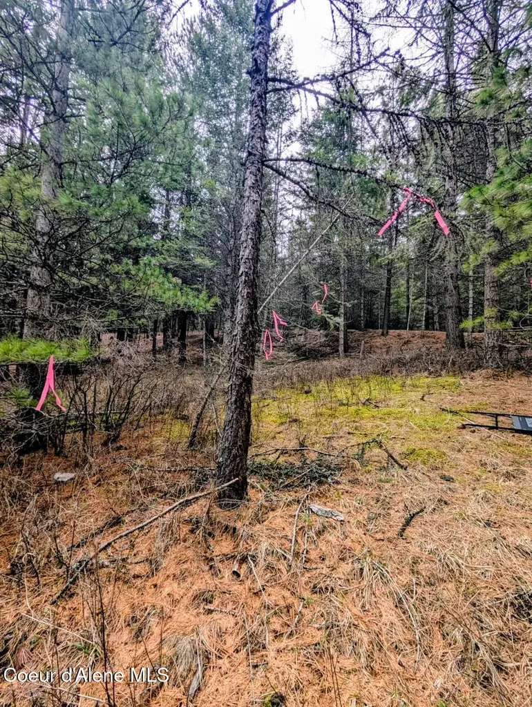 Nna Kootenai Trail Road Bonners Ferry ID 83805