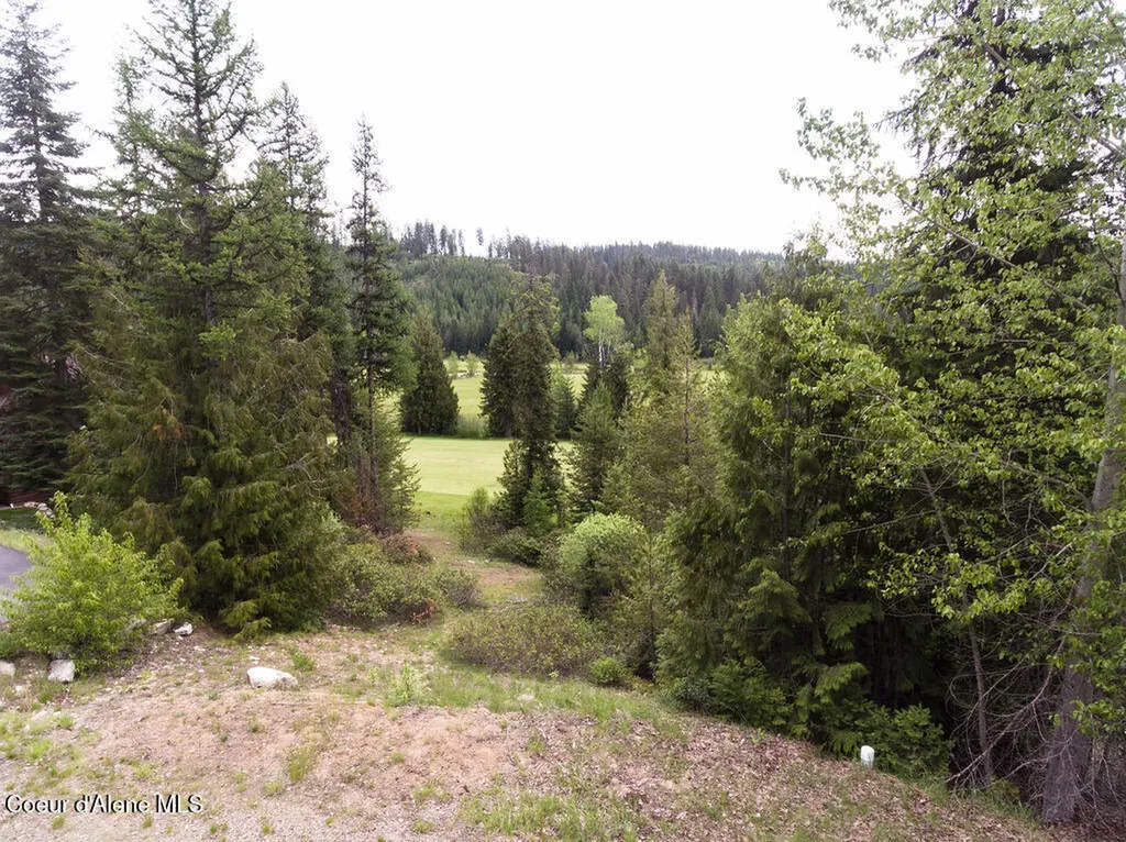 207 Long Drive Priest River ID 83856