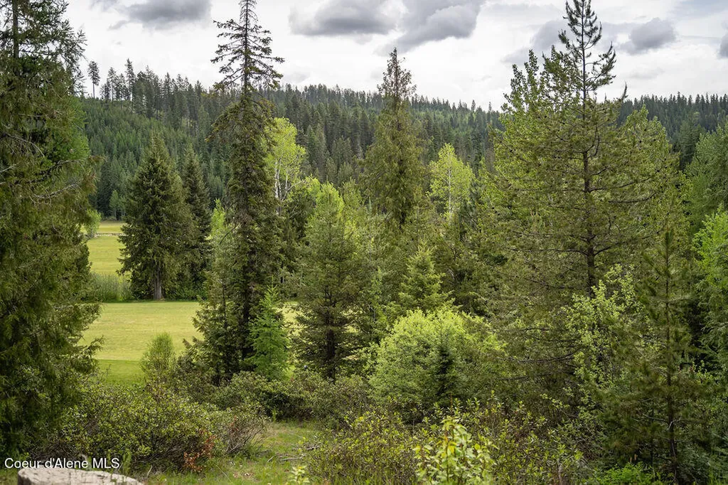 207 Long Drive Priest River ID 83856