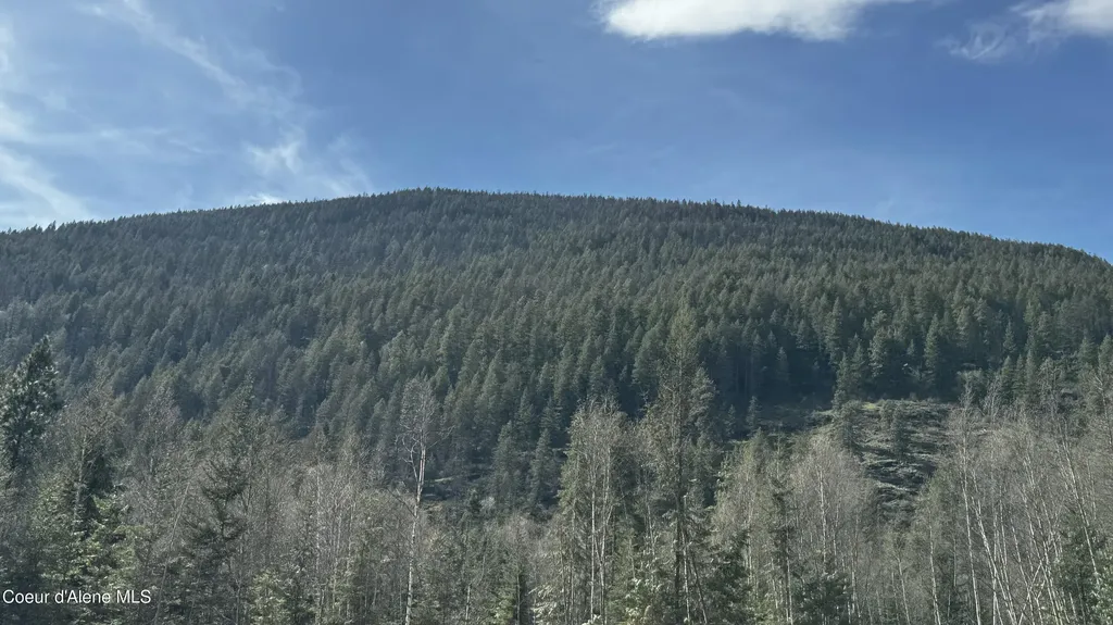 Nna Westside Road Parcel 6 Bonners Ferry ID 83805