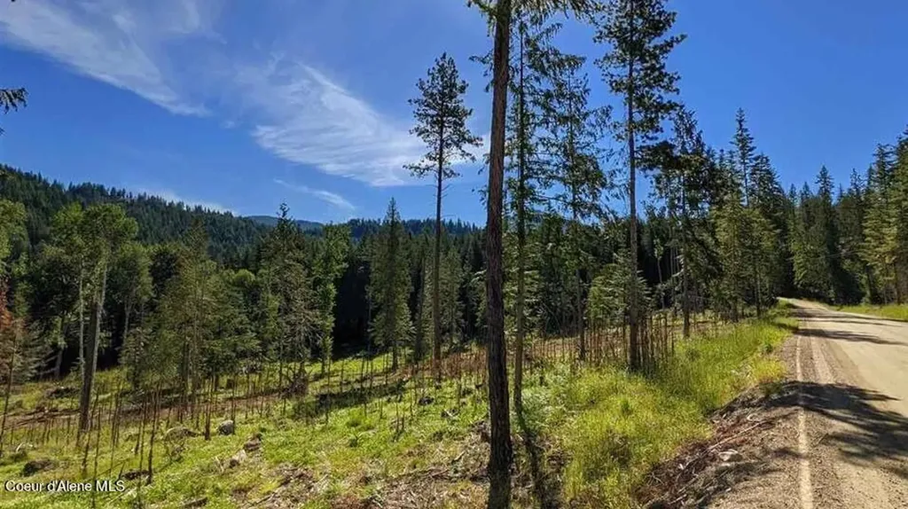 8360 Sunnyside Road Sandpoint ID 83864