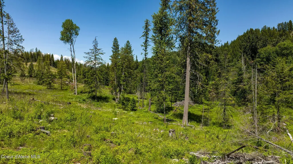 8360 Sunnyside Road Sandpoint ID 83864
