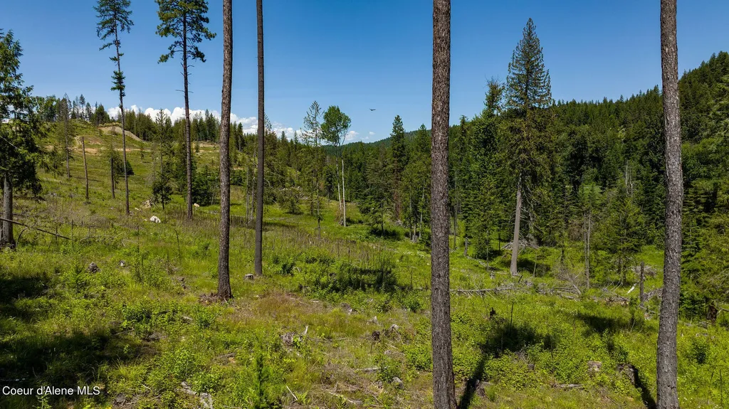 8360 Sunnyside Road Sandpoint ID 83864