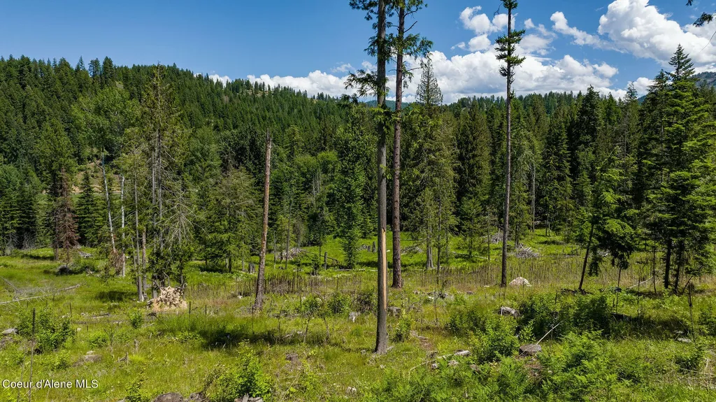 8360 Sunnyside Road Sandpoint ID 83864